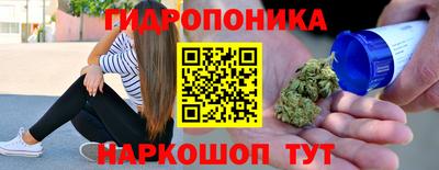 прущие грибы Усть-Илимск