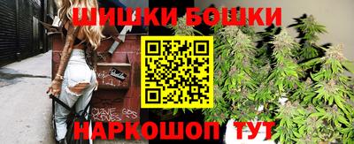 прущие грибы Усть-Илимск