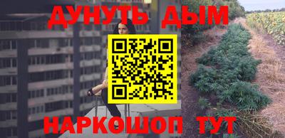 прущие грибы Усть-Илимск