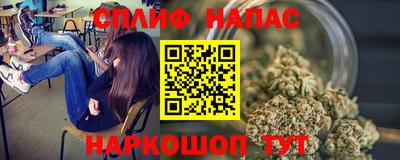 прущие грибы Усть-Илимск