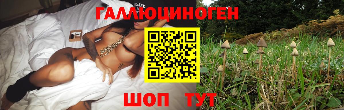 Асбест  дарнет шоп  Вход с VPN  Галлюциногенные грибы MAGIC MUSHROOMS  Галлюциногенные грибы GOLDEN TEACHER 